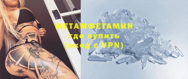 прущие грибы Барнаул