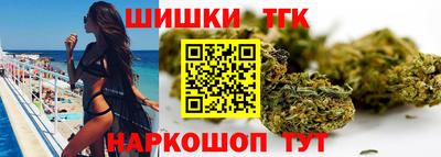 твердый Гатчина