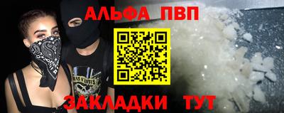 СК Гагарин