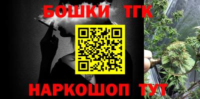 СК Гагарин