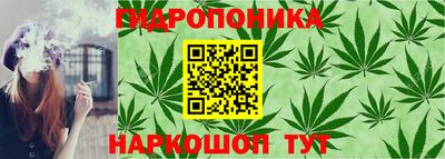 СК Гагарин