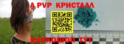СК Гагарин