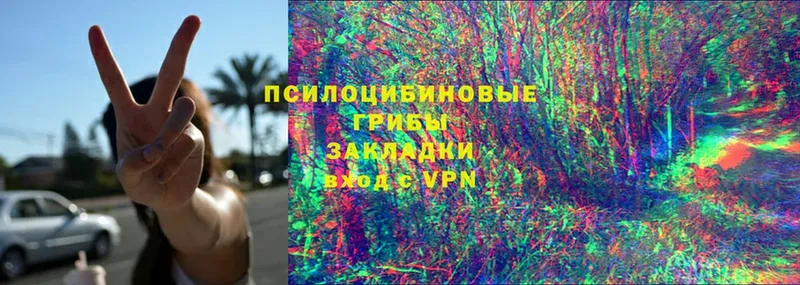 Галлюциногенные грибы мицелий  МЕГА сайт  Елец  где продают  