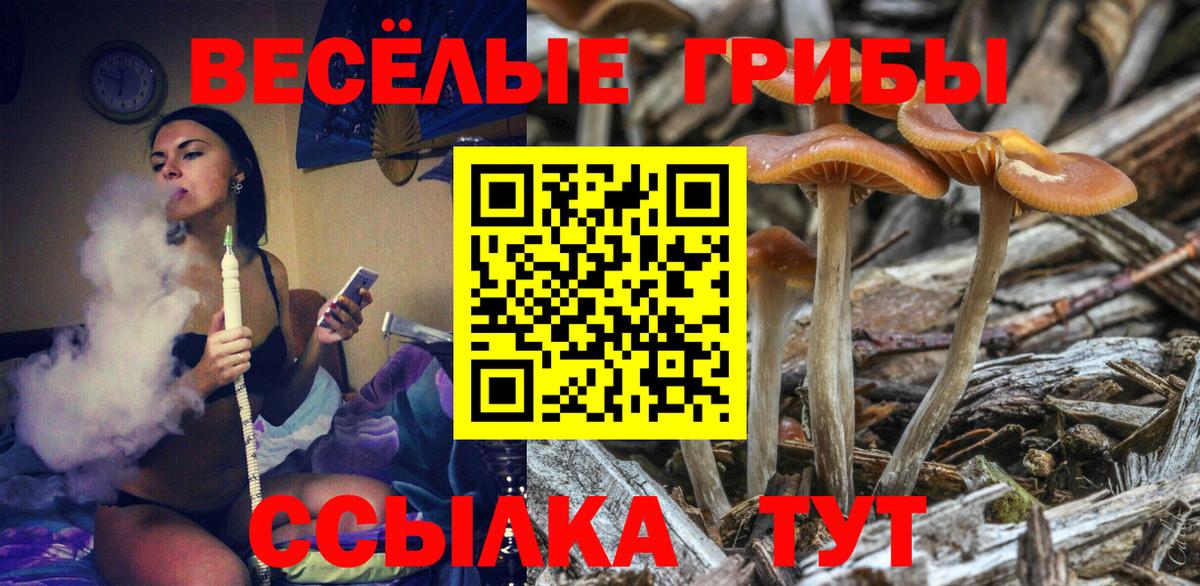 Псилоцибиновые грибы Magic Shrooms  Вход с VPN  Елец 