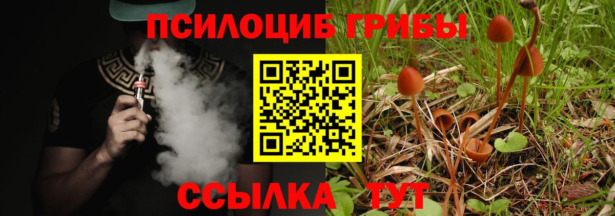 Псилоцибиновые грибы прущие грибы Елец