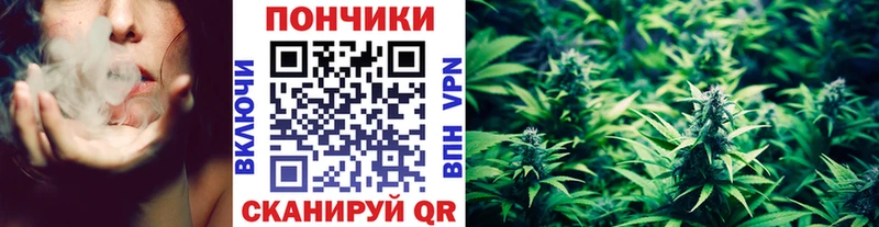 Шишки марихуана OG Kush что такое Елец